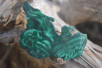 Polished Small Flower Banded Malachite Slices  x 24 From Congo - Toprock Gemstones and Minerals 