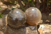 Polished Morion Smokey Quartz Spheres x 3 From Madagascar - TopRock