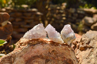 Natural Small Spirit Amethyst Quartz Clusters & Crystals  x 88 From Boekenhouthoek, South Africa - TopRock