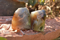 Polished Half Polished Dendritic Agate Standing Free Forms  x 6 From Moralambo, Madagascar - TopRock