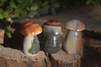 Polished Mini Polychrome / Picasso Jasper Mushrooms  x 20 From Madagascar