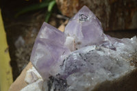 Natural Jacaranda Amethyst Cluster x 1 From Mumbwa, Zambia - TopRock