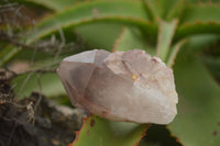 Natural Red Hematoid Quartz Specimens x 12 From Karoi, Zimbabwe - TopRock