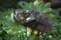 Natural Smokey Skeletal Amethyst Crystals  x 12 From Chiredzi, Zimbabwe