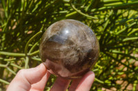 Polished Morion Smokey Quartz Spheres x 3 From Madagascar - TopRock