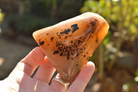 Polished Half Polished Dendritic Agate Standing Free Forms  x 6 From Moralambo, Madagascar - TopRock