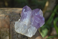 Natural Jacaranda Amethyst Clusters  x 3 From Mumbwa, Zambia - Toprock Gemstones and Minerals 