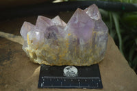 Natural Jacaranda Amethyst Clusters x 2 From Mumbwa, Zambia - TopRock