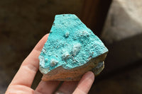 Natural Blue Chrysocolla With Malachite Specimens  x 12 From Kolwezi, Congo - TopRock