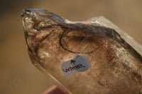 Polished Smokey Amethyst Window Quartz Crystals x 6 From Ankazobe, Madagascar