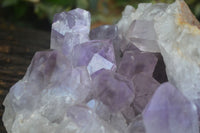 Natural Jacaranda Amethyst Cluster x 1 From Zambia - Toprock Gemstones and Minerals 