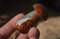 Polished Mini Polychrome / Picasso Jasper Mushrooms  x 20 From Madagascar