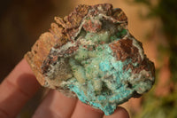 Natural Drusy Coated Chrysocolla & Malachite Specimens x 6 From Likasi, Congo