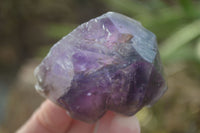 Natural Smokey Skeletal Amethyst Crystals  x 12 From Chiredzi, Zimbabwe