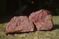 Natural Rough Red Rhodonite Specimens x 6 From Karoi, Zimbabwe