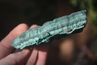 Natural Crystalline Botryoidal Malachite Specimens  x 5 From Kambove, Congo