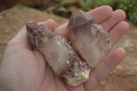 Natural Red Hematoid Quartz Specimens x 12 From Karoi, Zimbabwe - TopRock