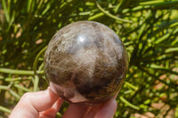 Polished Morion Smokey Quartz Spheres x 3 From Madagascar - TopRock