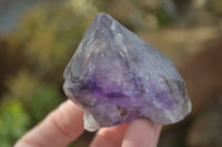 Natural Smokey Skeletal Amethyst Crystals  x 12 From Chiredzi, Zimbabwe