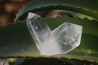 Polished Clear & Pale Citrine / Rainbow Veil Quartz Points  x 14 From Madagascar - Toprock Gemstones and Minerals 