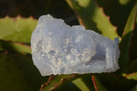 Natural Etched Blue Chalcedony Specimens  x 12 From Nsanje, Malawi