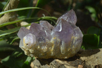 Natural Jacaranda Amethyst Clusters x 2 From Mumbwa, Zambia - TopRock