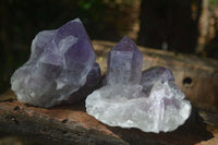 Natural Jacaranda Amethyst Clusters  x 3 From Mumbwa, Zambia - Toprock Gemstones and Minerals 