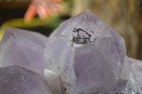 Natural Jacaranda Amethyst Cluster x 1 From Mumbwa, Zambia - TopRock