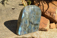 Polished Labradorite Standing Free Forms With Intense Blue & Gold Flash x 2 From Sakoany, Madagascar - TopRock