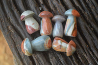 Polished Mini Polychrome / Picasso Jasper Mushrooms  x 20 From Madagascar