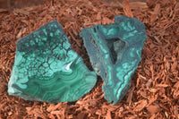 Polished Small Flower Banded Malachite Slices  x 24 From Congo - Toprock Gemstones and Minerals 