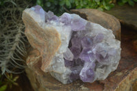 Natural Jacaranda Amethyst Cluster x 1 From Zambia - Toprock Gemstones and Minerals 