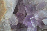 Natural Jacaranda Amethyst Cluster x 1 From Zambia - Toprock Gemstones and Minerals 