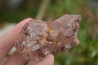 Natural Red Hematoid Quartz Specimens x 12 From Karoi, Zimbabwe - TopRock