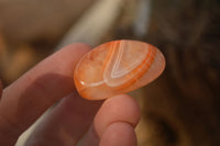 Polished  Carnelian Agate Tumble Stones  x 56 From Madagascar