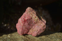 Natural Rough Red Rhodonite Specimens x 6 From Karoi, Zimbabwe