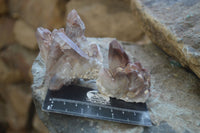 Natural Red Hematoid Quartz Specimens x 12 From Karoi, Zimbabwe