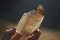 Polished Smokey Amethyst Window Quartz Crystals x 6 From Ankazobe, Madagascar