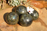 Polished Labradorite Spheres With Nice Subtle Flash x 4 From Tulear, Madagascar - TopRock