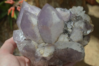 Natural Jacaranda Amethyst Cluster x 1 From Mumbwa, Zambia - TopRock