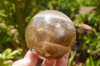 Polished Morion Smokey Quartz Spheres x 3 From Madagascar - TopRock