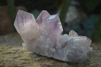 Natural Jacaranda Amethyst Clusters  x 3 From Zambia - Toprock Gemstones and Minerals 