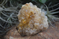 Natural Golden Limonite / Lemonite Quartz Clusters  x 12 From Zambia - TopRock