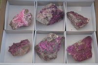 Natural Pink Salrose Cobaltion Dolomite Specimens  x 6 From Congo - Toprock Gemstones and Minerals 