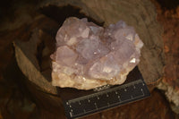 Natural Spirit Amethyst Quartz Clusters x 4 From Boekenhouthoek, South Africa