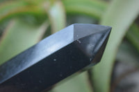 Polished Black Basalt Points  x 3 From Madagascar