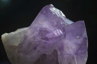 Natural Jacaranda Amethyst Clusters  x 3 From Mumbwa, Zambia - Toprock Gemstones and Minerals 