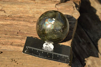 Polished Labradorite Spheres With Nice Subtle Flash x 4 From Tulear, Madagascar - TopRock