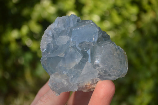 Natural Blue Celestite Crystal Specimens  x 6 From Madagascar - Toprock Gemstones and Minerals 