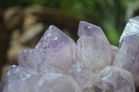 Natural Jacaranda Amethyst Clusters x 2 From Mumbwa, Zambia - TopRock